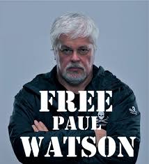 Free Paul watson