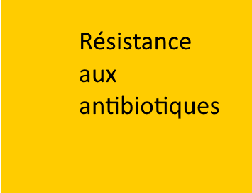 Rsistance aux antibiotiques