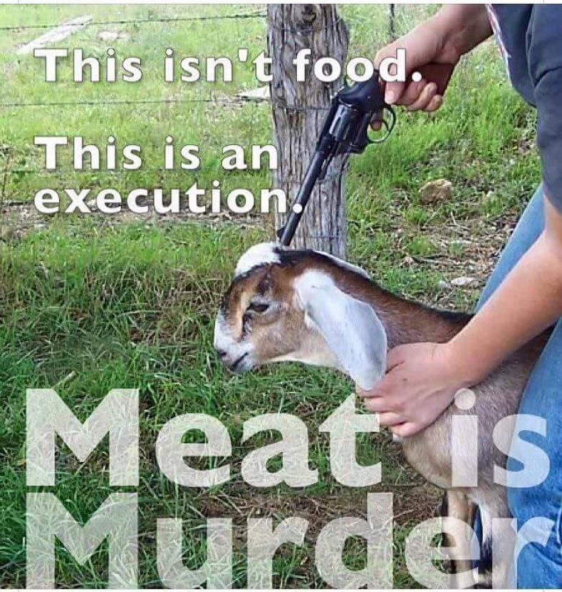 meat murder
